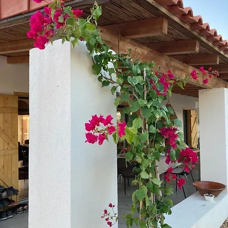 Amelia'S House Villa Grandola Exterior photo
