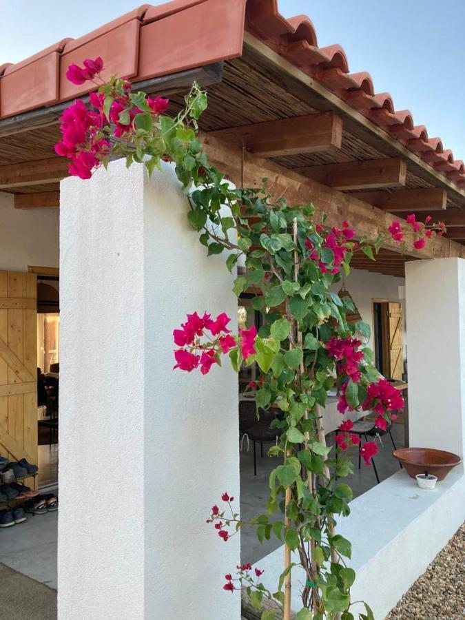 Amelia's House
