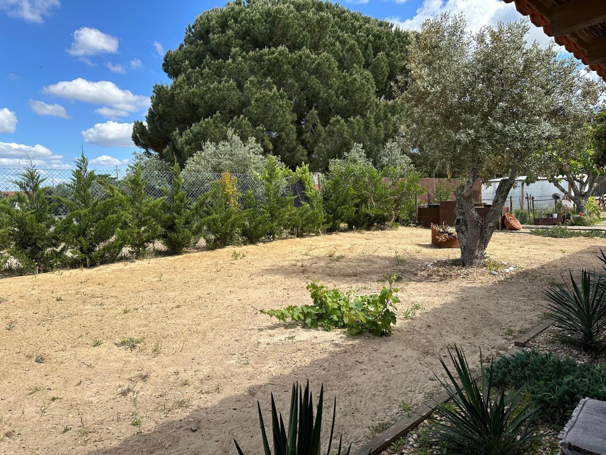 Holiday home Amelia's House Grandola